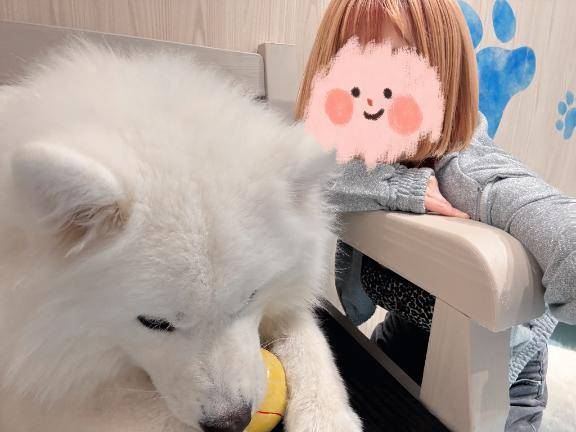 駆け抜けました?