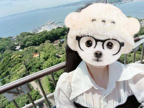 素敵な出会い?