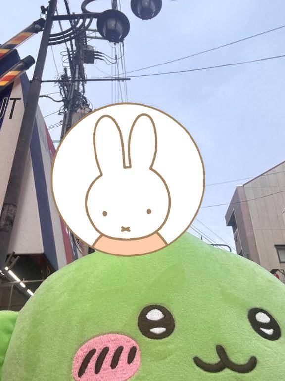 高知戻りました?