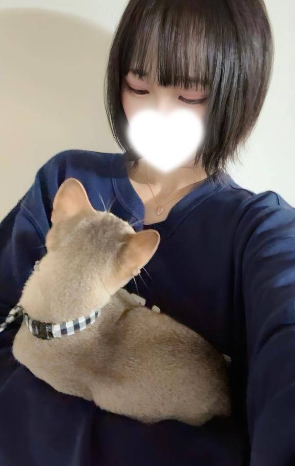 自己紹介???