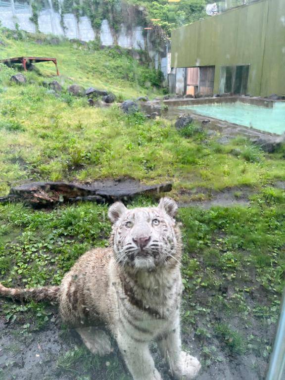 残り2ヶ月(?っ ? ⊂?)