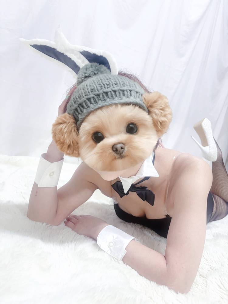何してるの？？