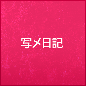 写メ日記