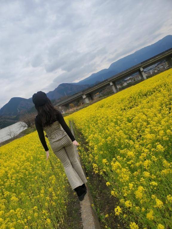 急遽\(´°v°)/んぴｯ