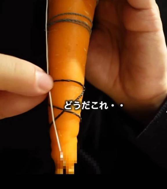 人参言葉攻め選手権🥕