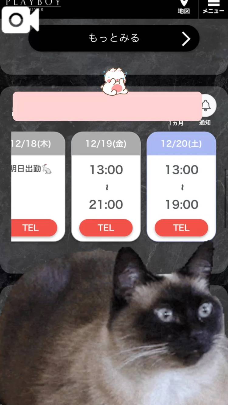 ｲﾄｫ(🧵    '-' )🧵