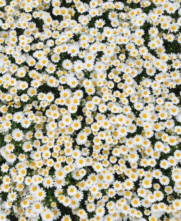 おはようございます😊