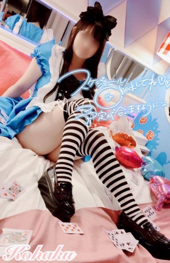 ? 出勤予定 and お知らせとか諸々? ?