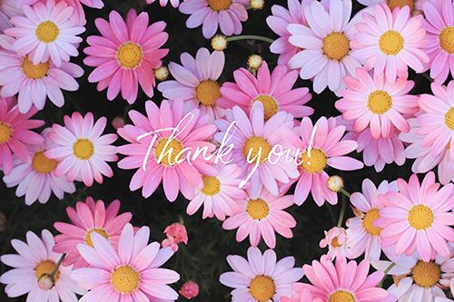 ❋COSMOS202ﾘﾋﾟのお客様❋