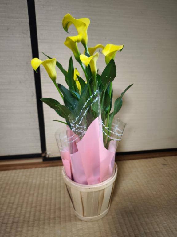 母の日ですね(*^^*)