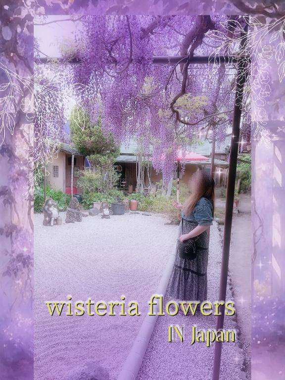 お兄様は見ましたか？