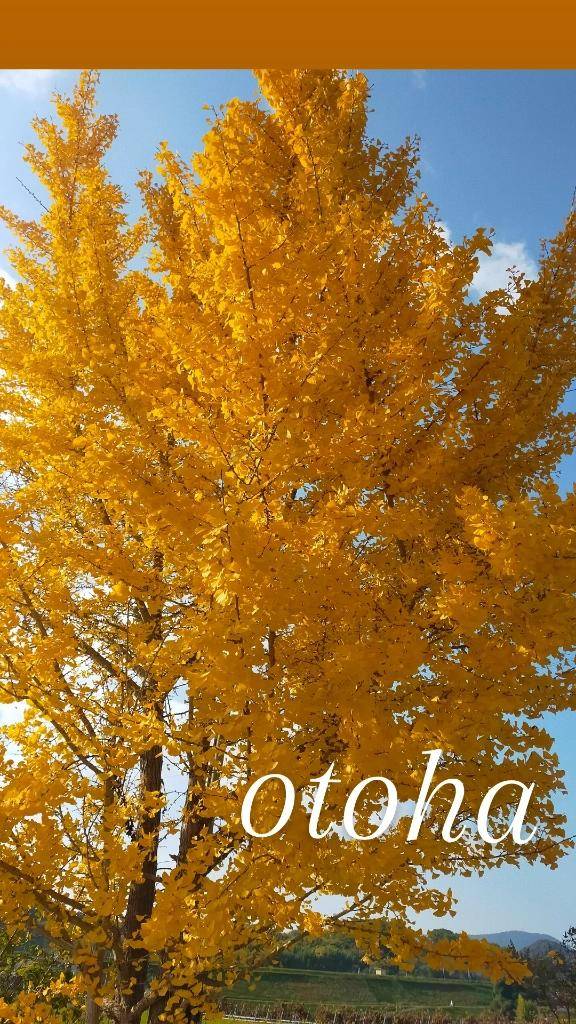 ?ご予約してくれてるYくんへ?