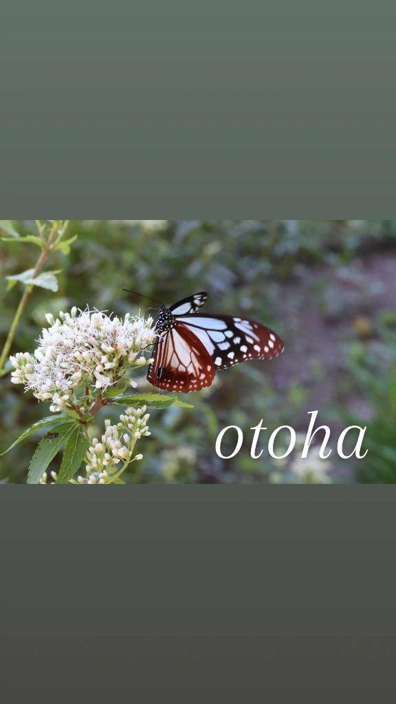 ?事前ご予約ありがとうございます?