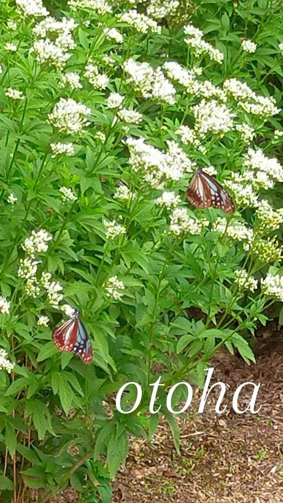 事前のご予約ありがとうございます！