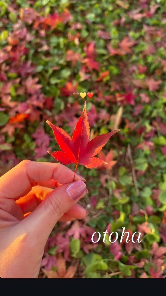 ?小さな秋みーつけた?