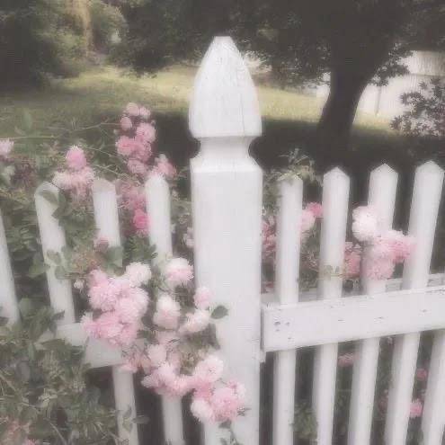 ありがとうございました🩶🎀⋆˙⟡