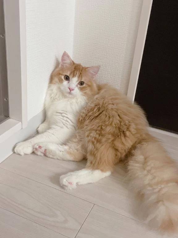 退勤💗