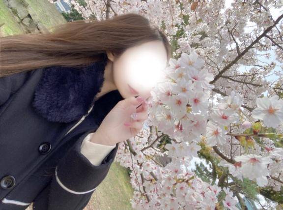 波音【はのん】