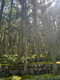やっと秋だね🍂