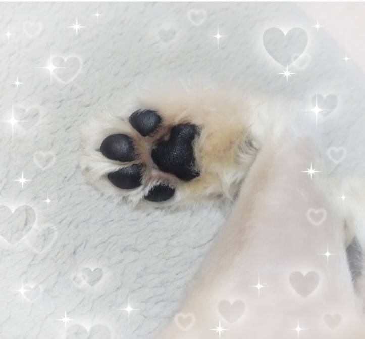 嫌な事されない❤️