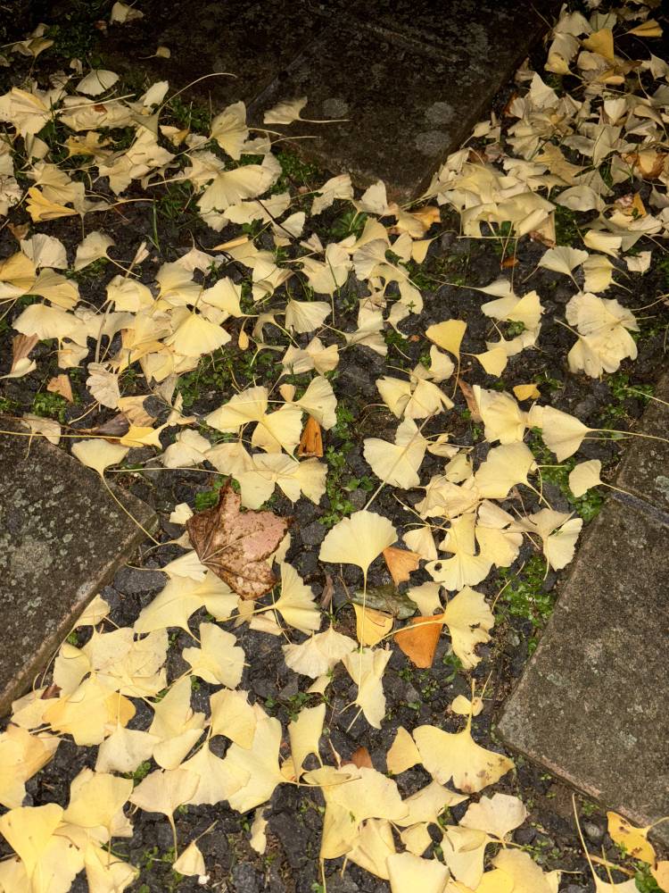 耳元の甘いおしおき…