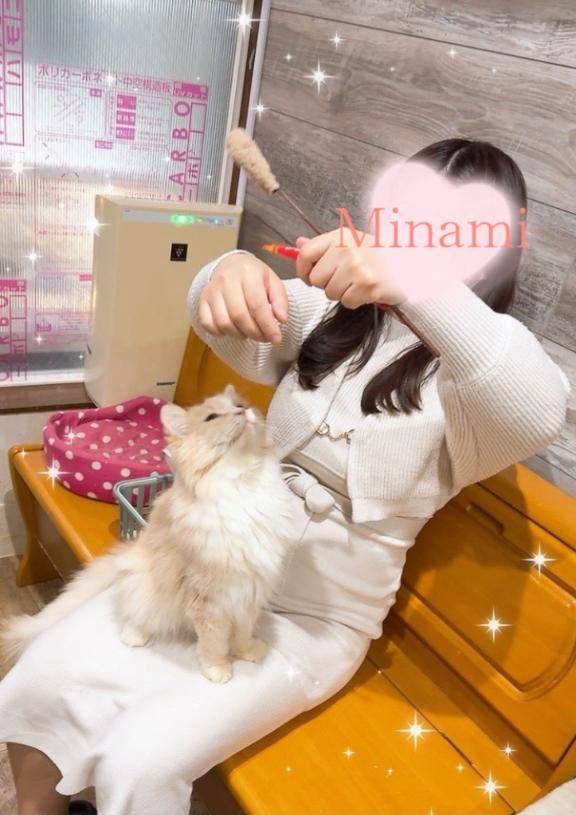 ?…?猫さん飼ってる敏感さんへ( * ´?`* )?"