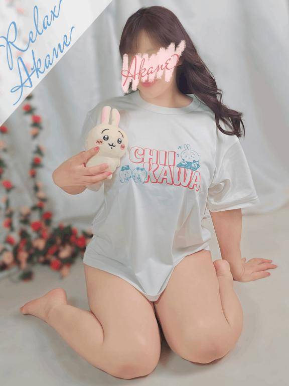 ? ここは高知です