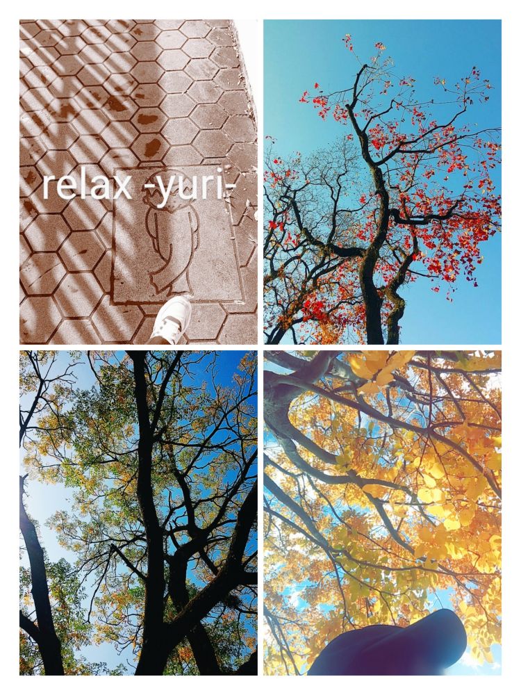 『１２月の始まり。』