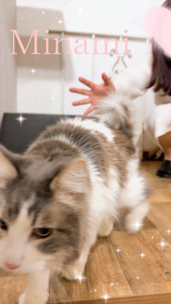 ?…?追っかけられた貴方様へ?