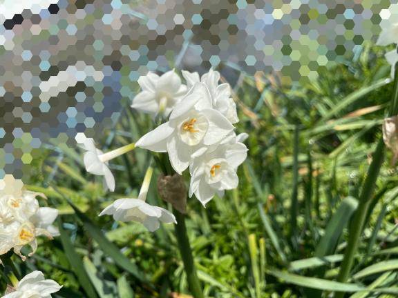 明日ちょっと特別かも…?