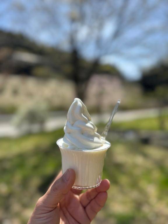 好きな食べ物その①