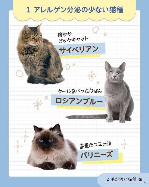 本指名様へ?