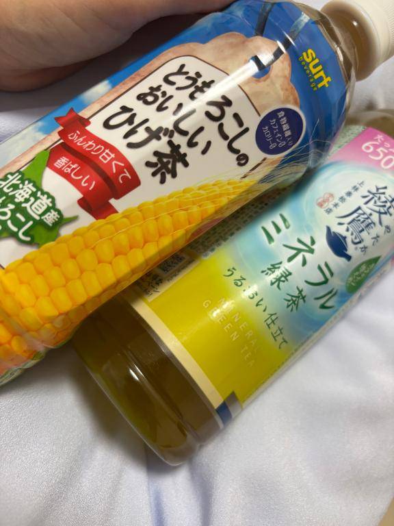 キャッスル 203号室のお客様?