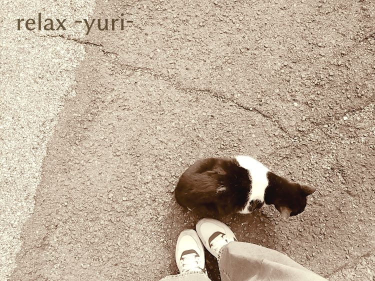 ゆり (Yuri)(高知出張メンズエステ-RELAX)