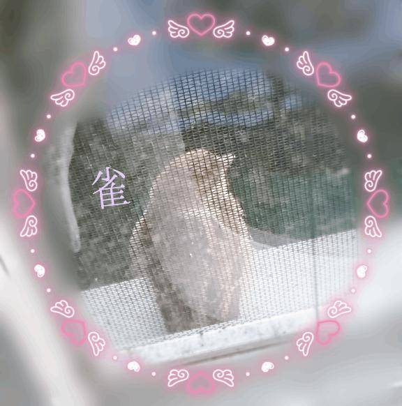 港33号室の本指名様へ?
