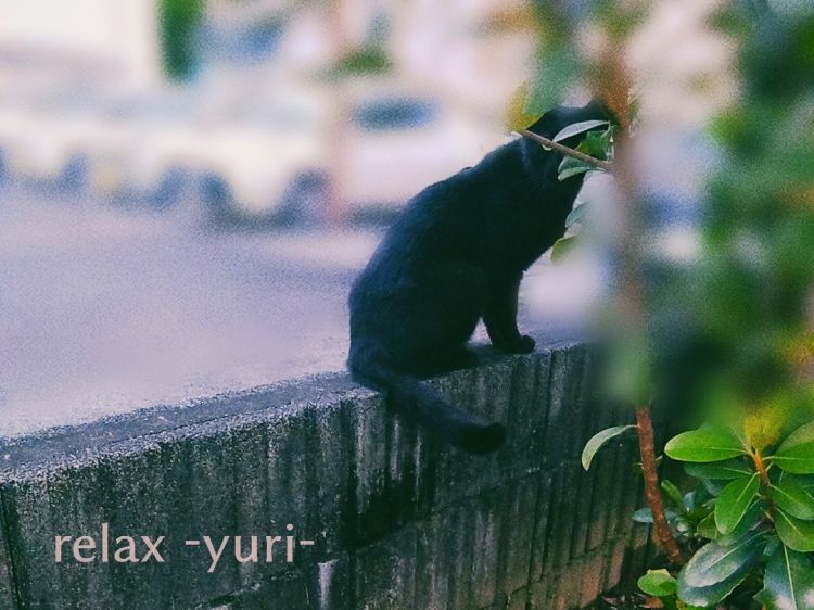 『新たな出会い』