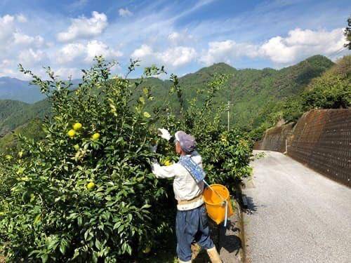 港18号室の本指名様へ?