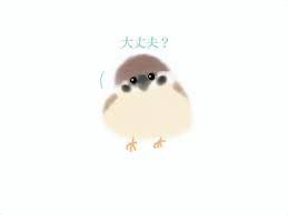 大丈夫？