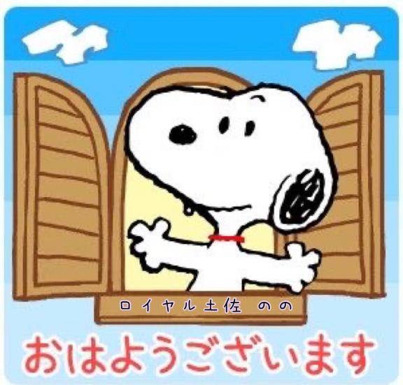 おはようございます(*^o^*)