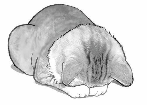 予定変更のお知らせ?