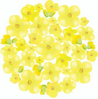 読んでほしいです?