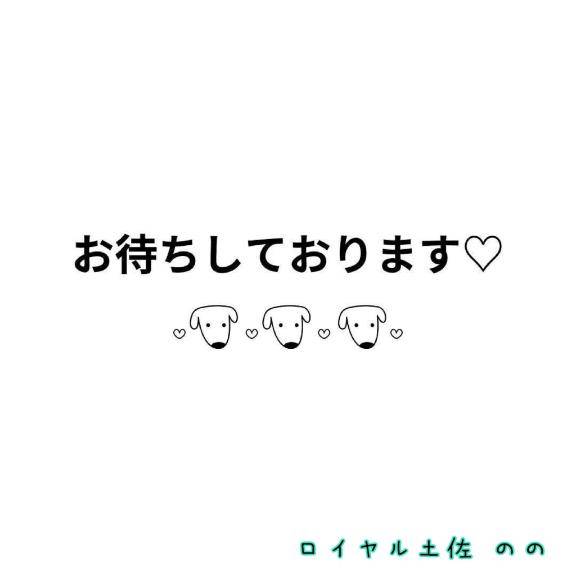 こんにちは(*???*)