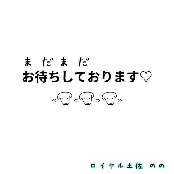 出勤してます(*^^*)