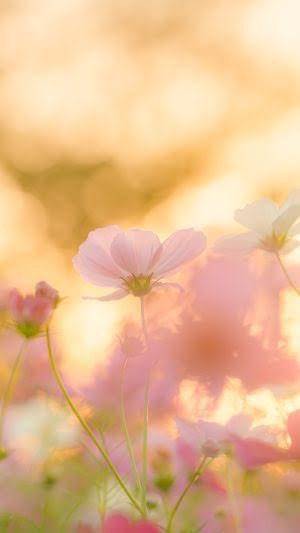 ありがとうございました?