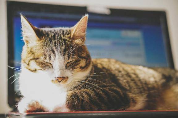 [お題]from:変態パンストPちゃんさん