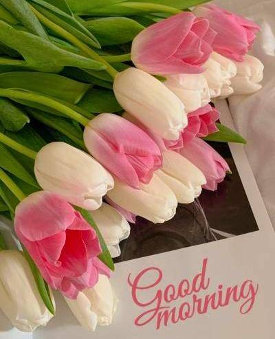 りせ（ロイヤル土佐）