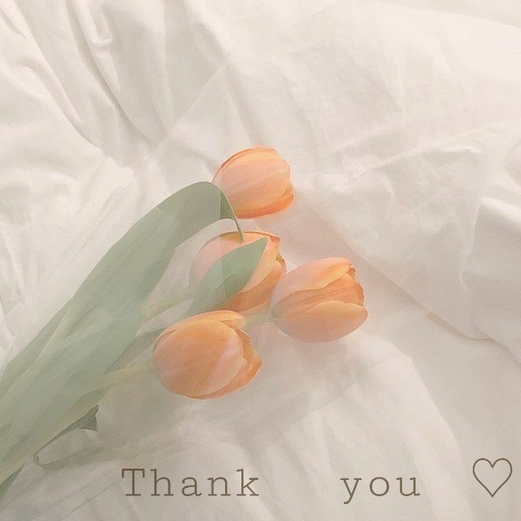 おっきいおにーさま💌