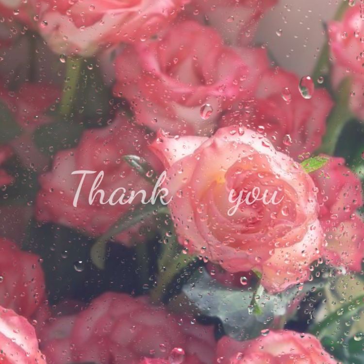 若見えな紳士さま💌