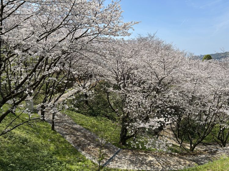 出勤中　♡