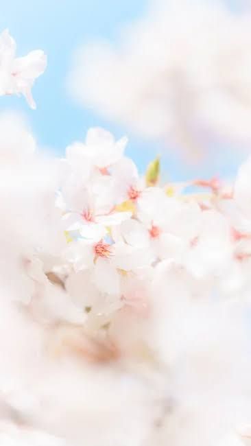 100分の新規様